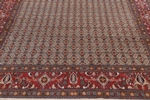 6foot square moud persian rug
