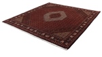 10ft 300cm square bidjar persian carpet