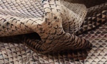 10x8 contemporary modern silk rug