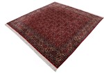 7ft 200cm square bidjar persian rug