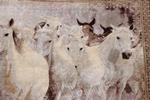 pictorial animal horses hereke silk carpet