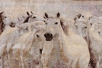 pictorial animal horses hereke silk carpet