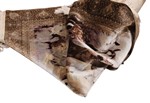 pictorial animal horses hereke silk carpet