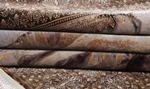pictorial animal horses hereke silk carpet